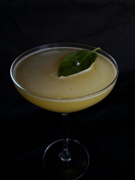 Basil beauty